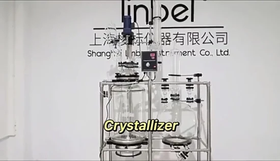 20L 50L 100L équipement de laboratoire chimique réacteur de cristallisation filtre réacteur en verre filtre Nutsche avec bouteille de collecte