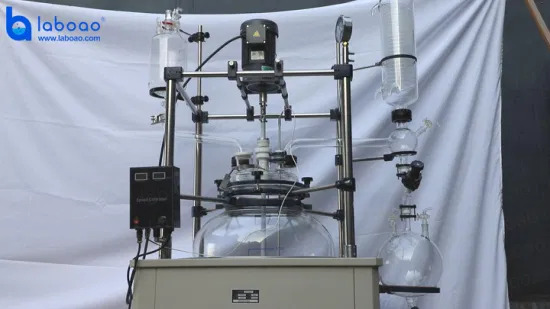 Réacteur de réservoir d'agitation chimique de mini réacteur en verre monocouche Laboao 3L